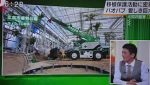 バオバブの木移植プロジェクトを広島ホームテレビで放送②