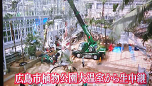 バオバブの木移植プロジェクトを広島ホームテレビで放送⑥